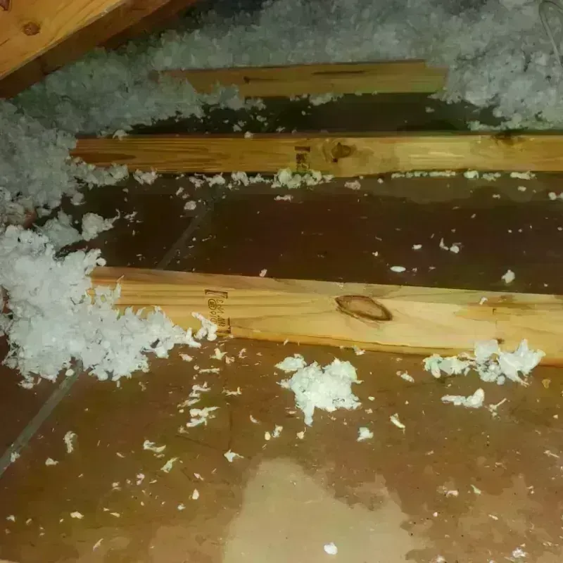 Attic Water Damage in North East, PA