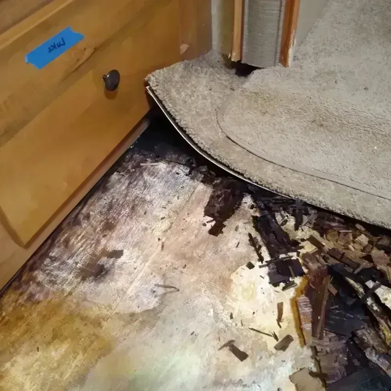 Wood Floor Water Damage in North East, PA